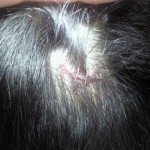 2011061212410000.jpg