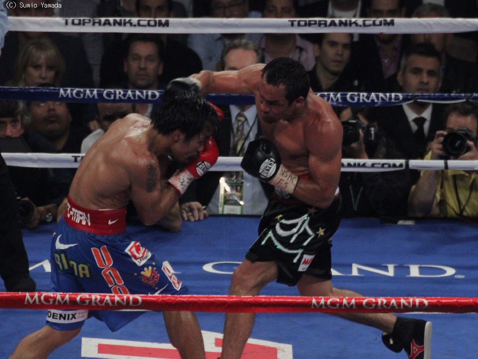 マヌエル•マルケス　フィギュア　ボクシング　メキシコ　パッキャオ マヌエル•マルケス フィギュア ボクシング メキシコ パッキャオ