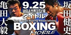 pickup_boxer_daiki_sakata_smal