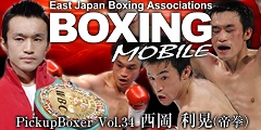 pickup_boxer33_small.jpg