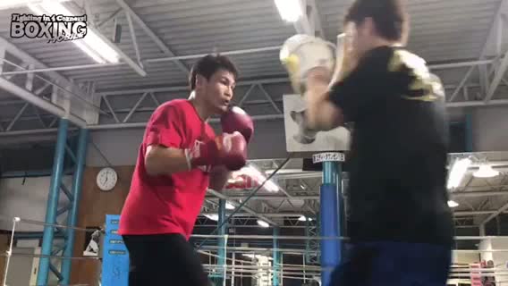 野中悠樹(井岡弘樹)練習動画