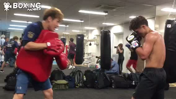 井上尚弥の左ボディーブローがすごい動画