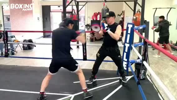 森武蔵(薬師寺)ミット打ち動画