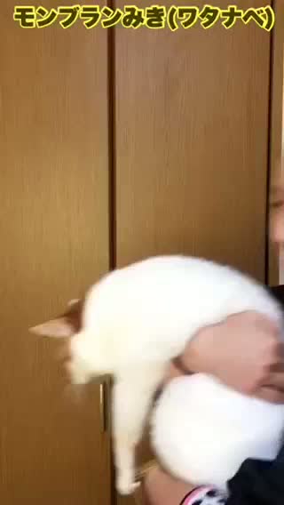 モンブランみき(ワタナベ)動画