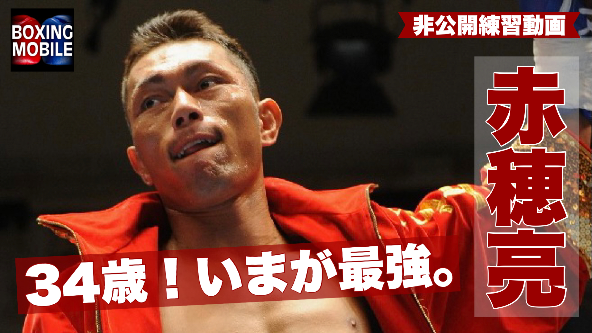 赤穂亮(横浜光)インタビュー動画