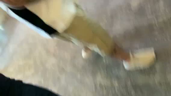 天海ツナミ・エストラーダ会見動画