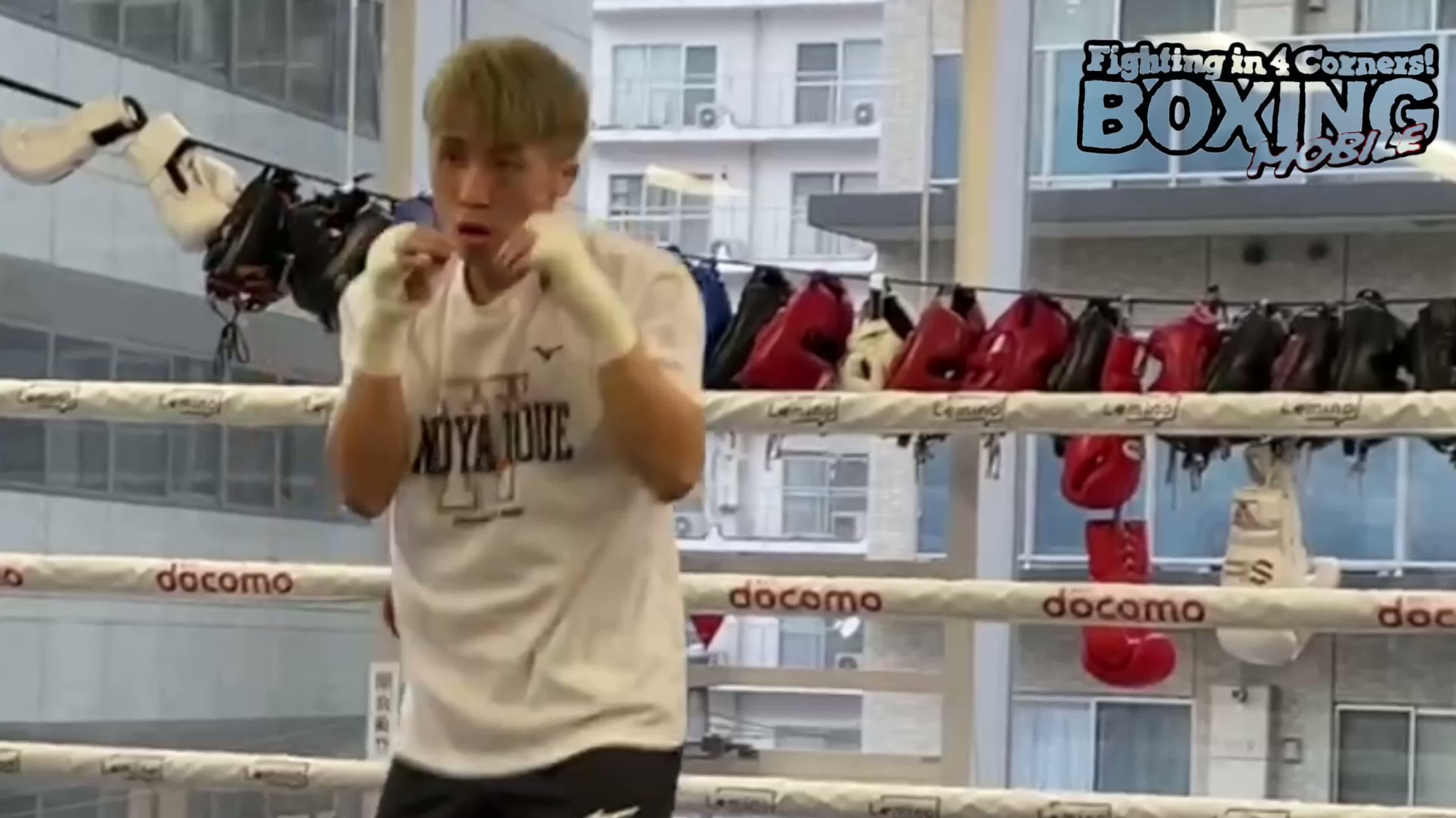 公開練習映像:井上尚弥(大橋)