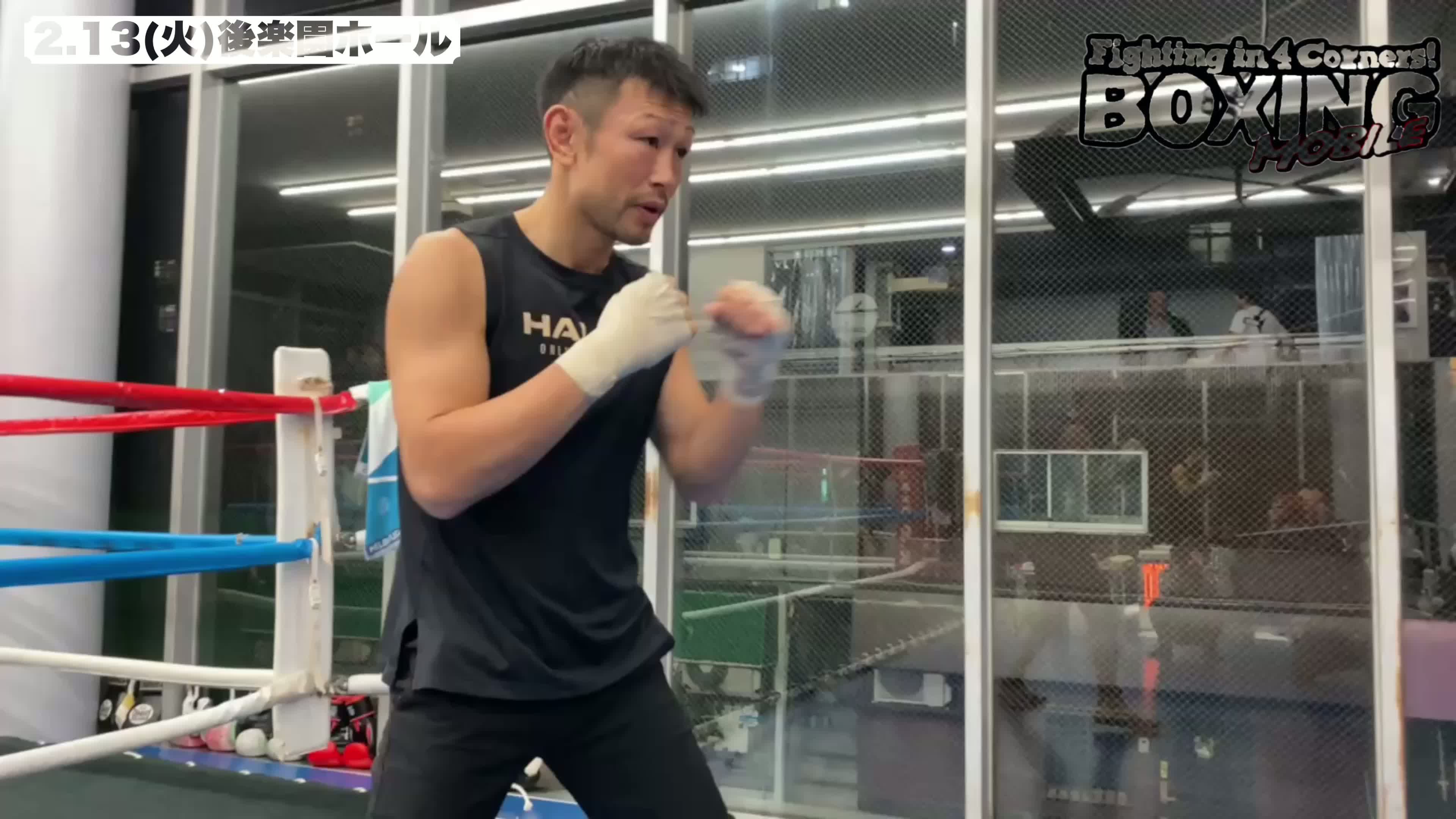 日本Sウェルター級戦特集動画