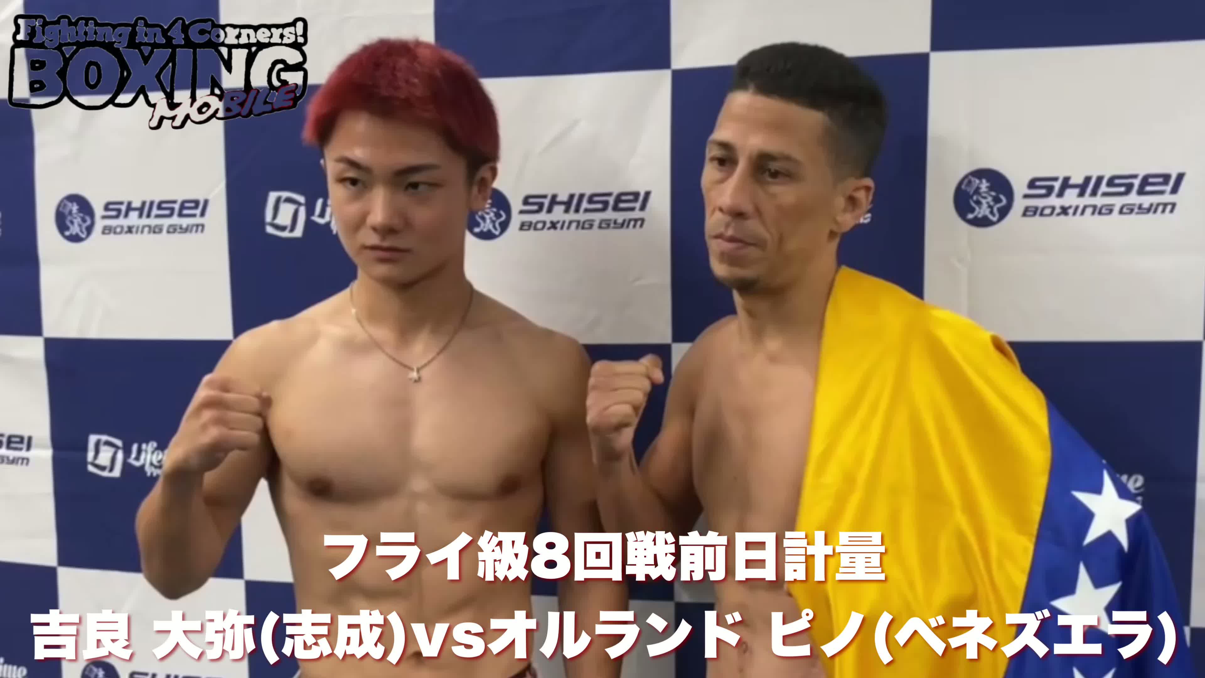 吉良大弥(志成)前日計量動画