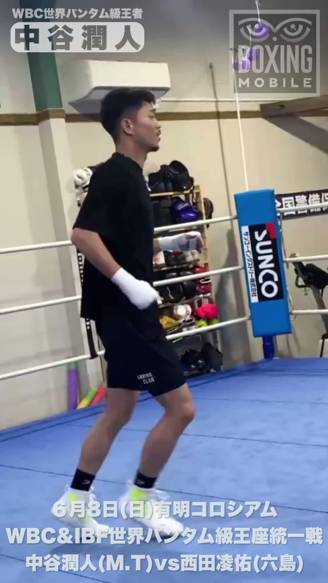 中谷潤人(M.T)シャドー動画