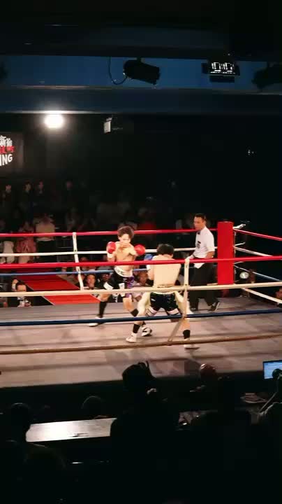 歌舞伎町ボクシングPV動画