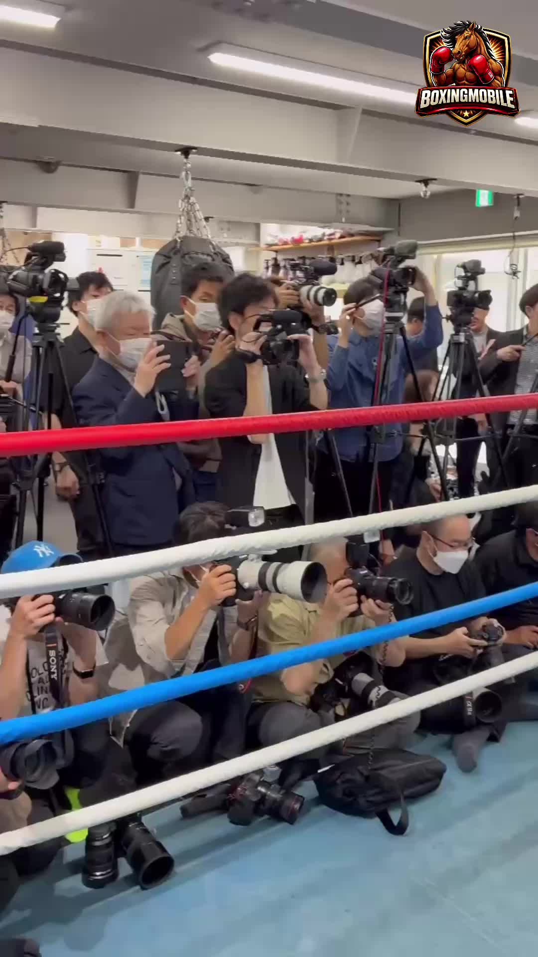 井岡一翔(志成)公開練習映像シャドー