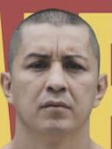 アルマンド トーレス（Armando Torres）選手情報