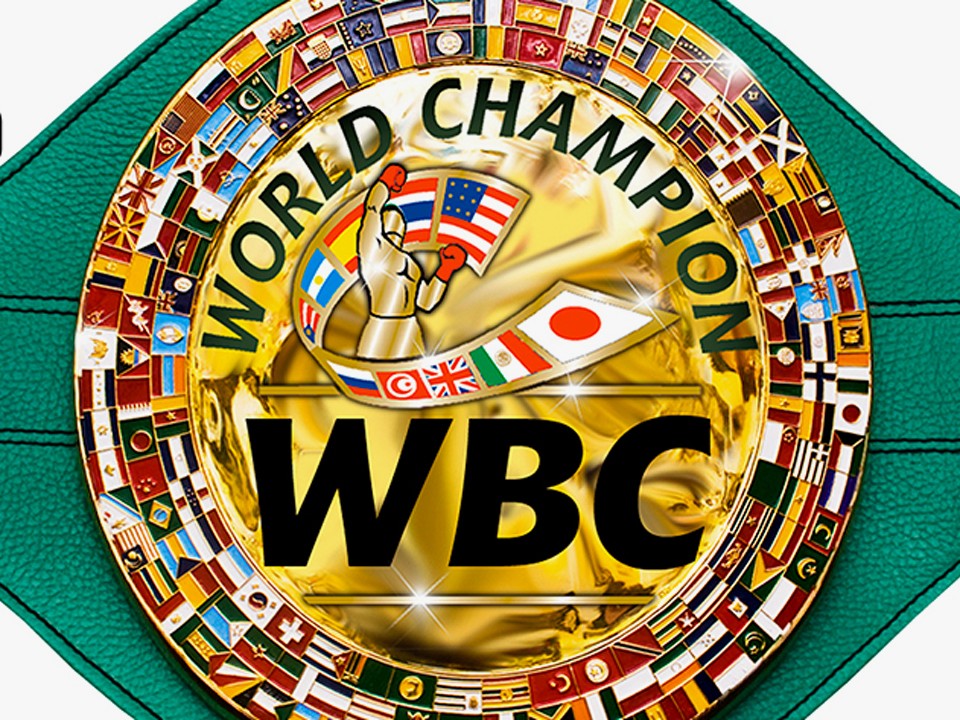 WBCボクシングチャンピオンベルト レプリカ 井上尚弥 - その他スポーツ