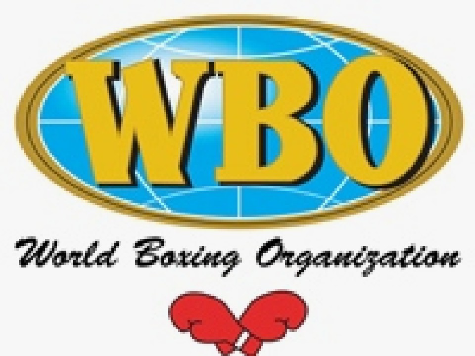 �\��vs�X�~�X�ŉ��������