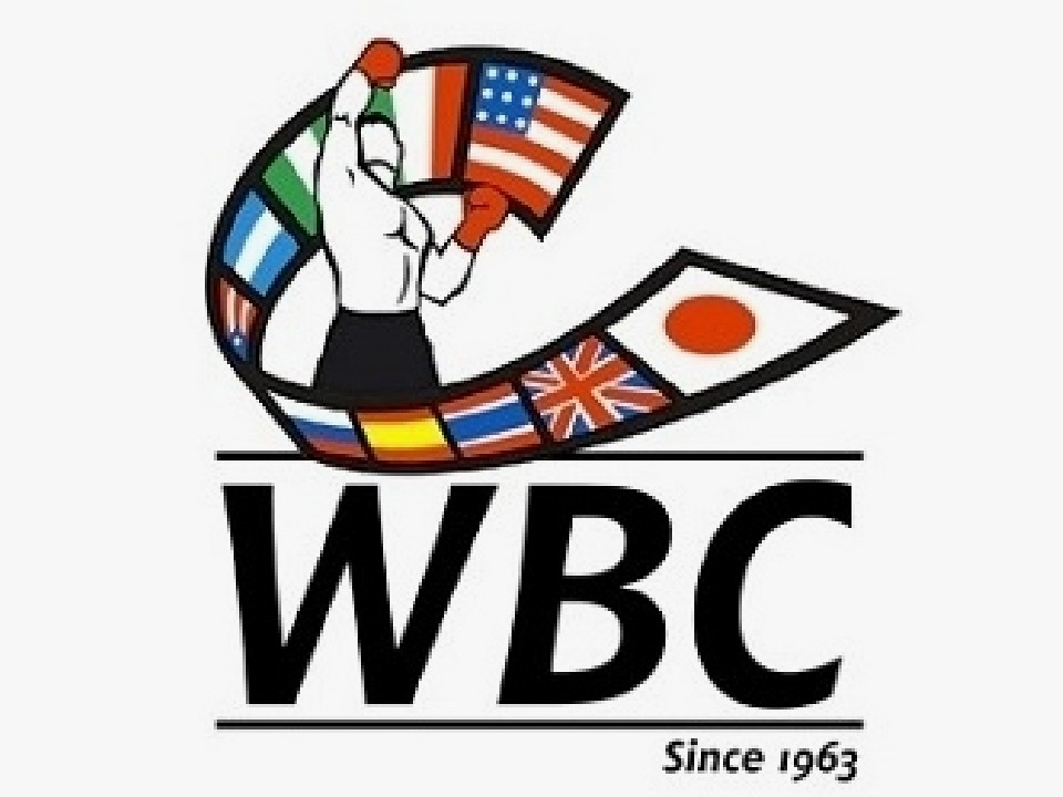 SL級 WBC王座決定戦