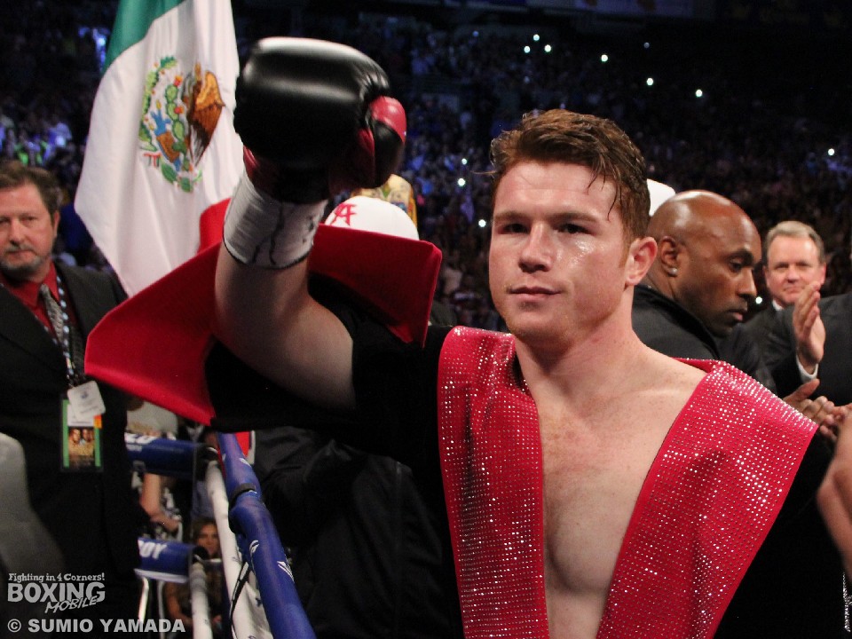 ��D���錾�̃A���o���X