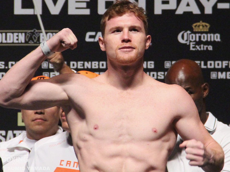 �A���o���X��6�����̎��i��~����