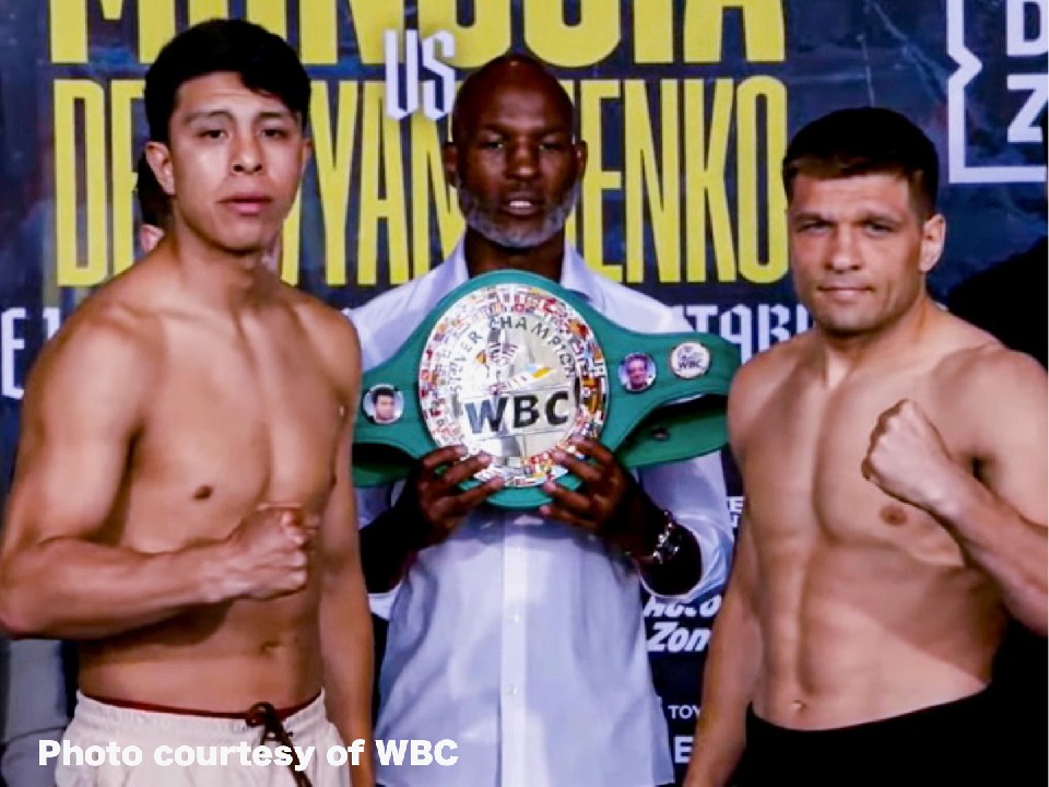 WBCVo[
