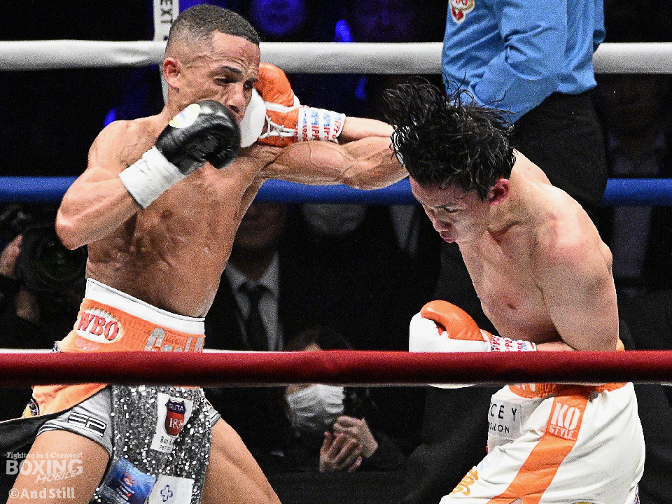 WBA�EWBO���E���������