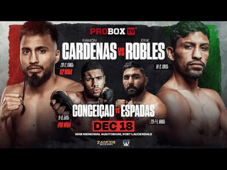 �J���f�i�Xvs�A����