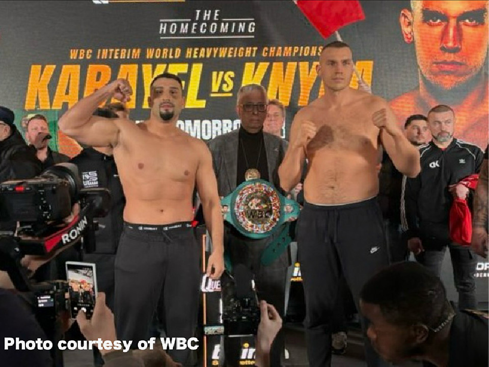 �h�C�c�Ό�