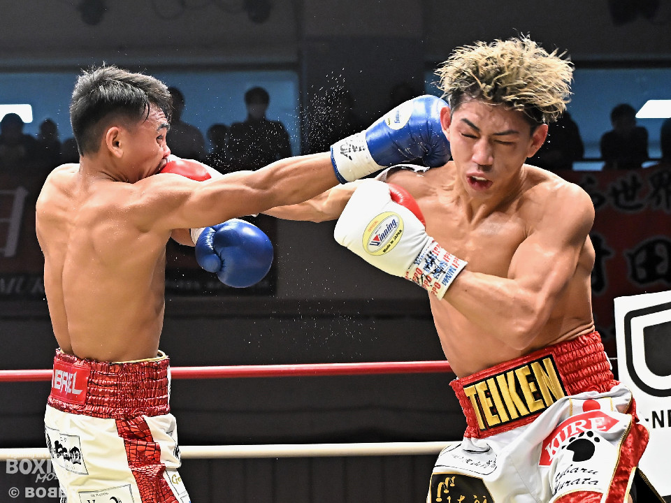 ���c��(�錝)�������̖h�q��