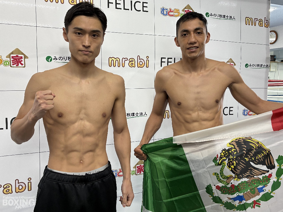 IBF���ES�o���^��������Ҍ����