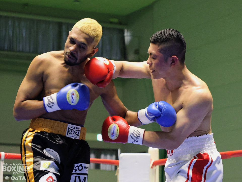 �F�{�Ő������{�V�l���킪�J��!