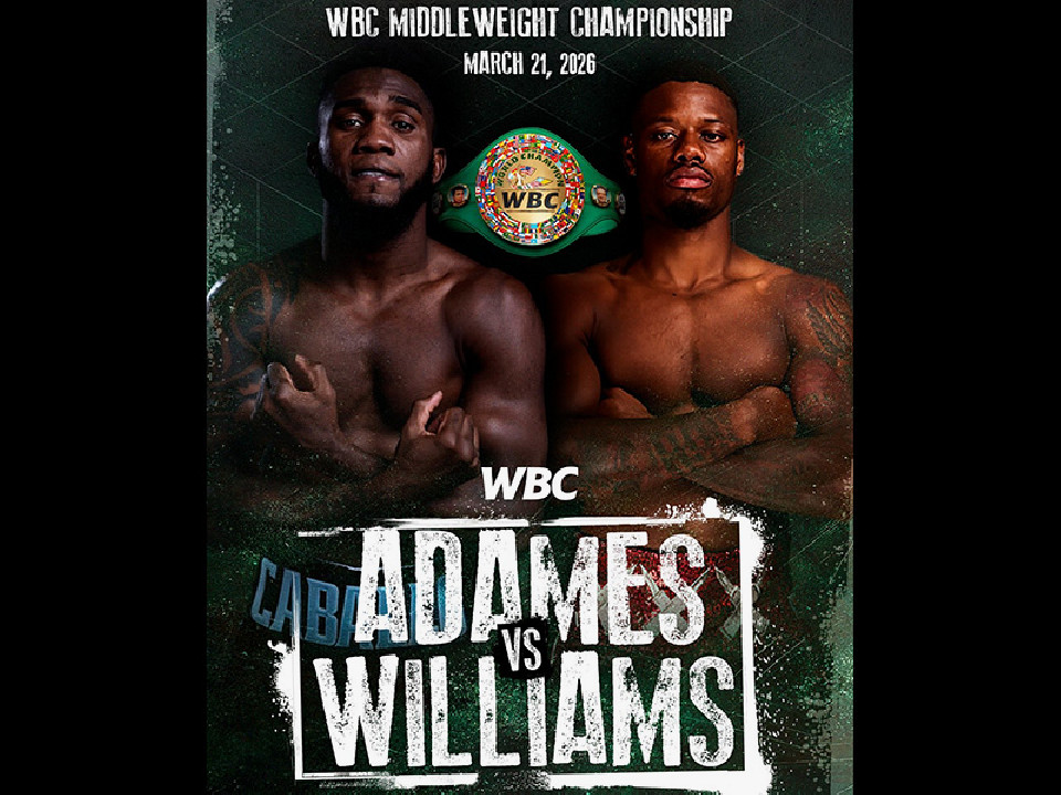 WBC�~�h������A�_���Xvs�E�B���A���Y