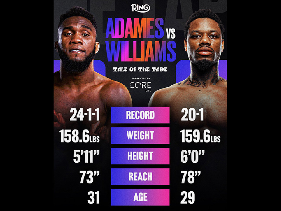 WBC�~�h������A�_���Xvs�E�B���A���Y