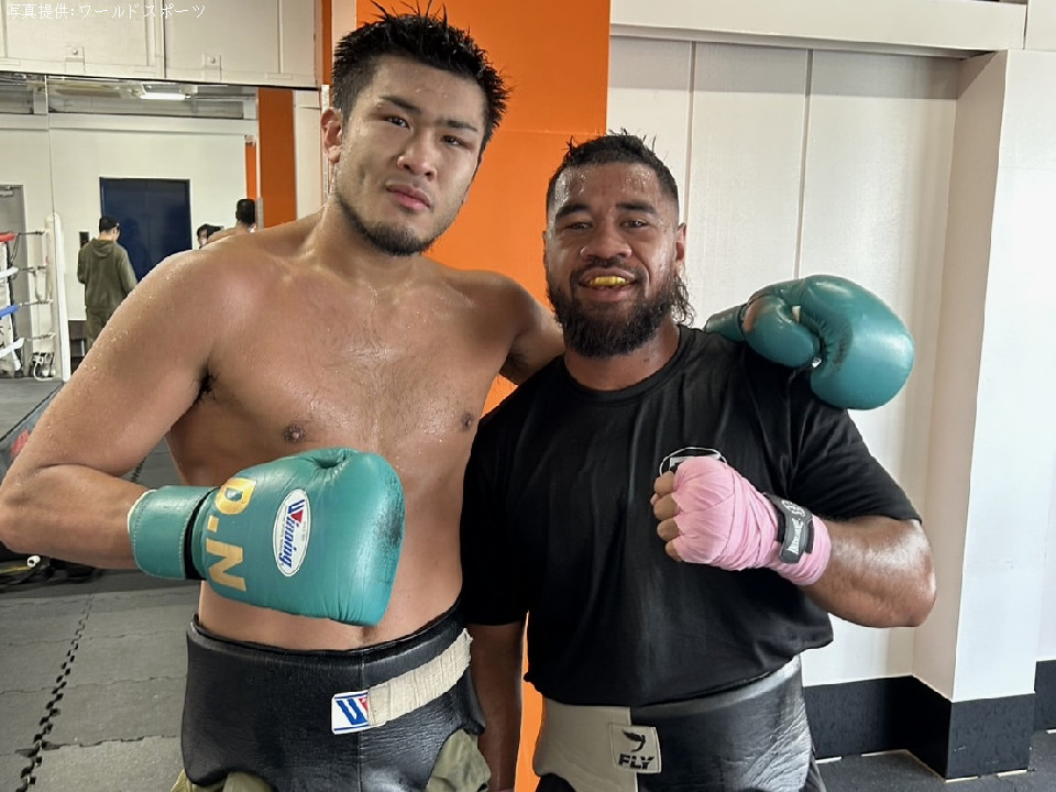 �X�e�B�l(���[���hS)�ɋ��͉��R