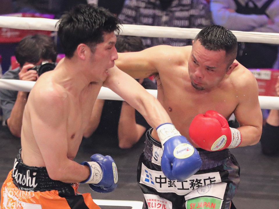 �_�E�����V! �ΐ�n�Ɖ���������y���z�[����h�炵��!