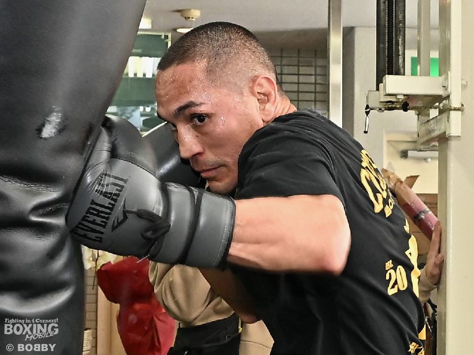 �t�@����t�����V�X�R��G�X�g���[�_