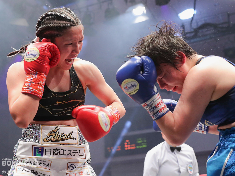 WBO-AP�A�g�������������