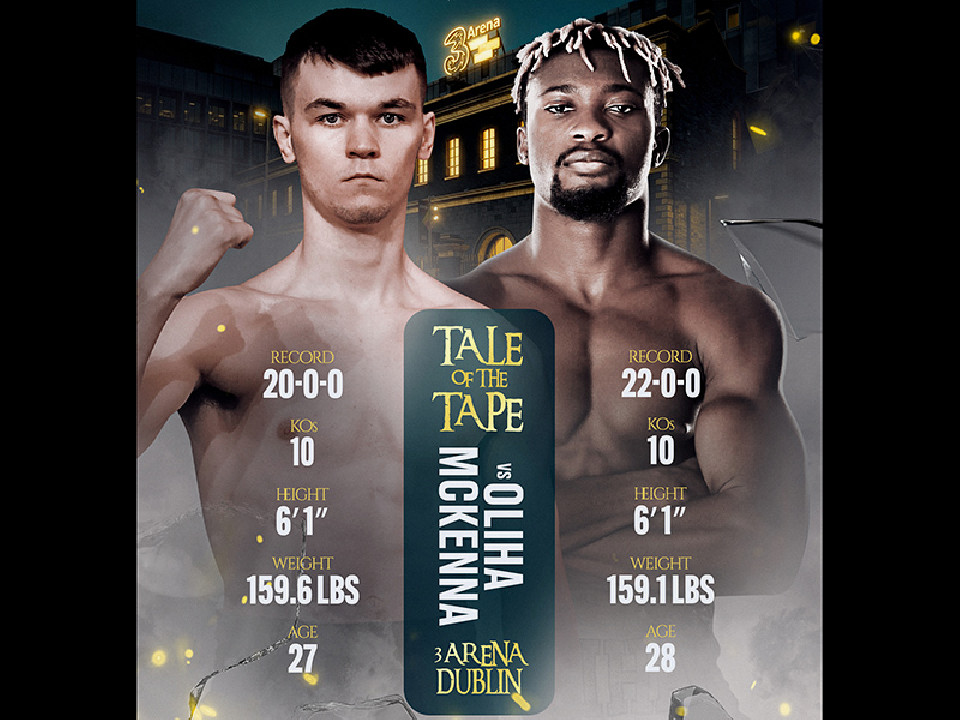 IBF�~�h�������������I���nvs�}�b�P�i