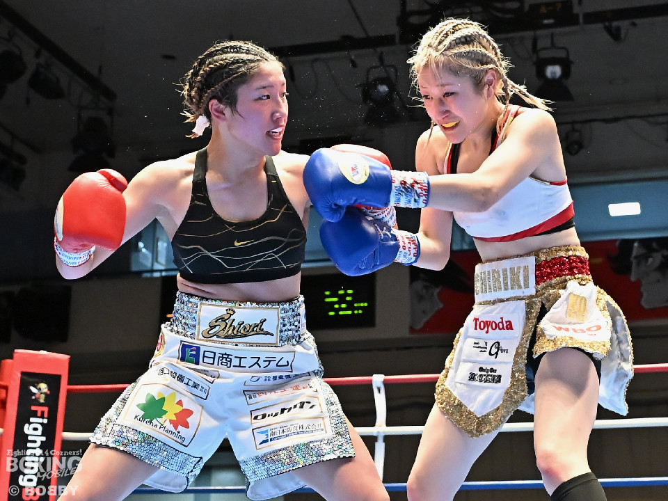 WBO-AP�A�g����������