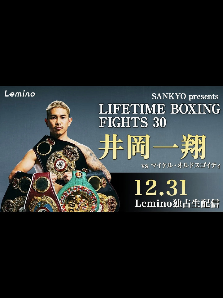 LifeTime Boxing Fights 30