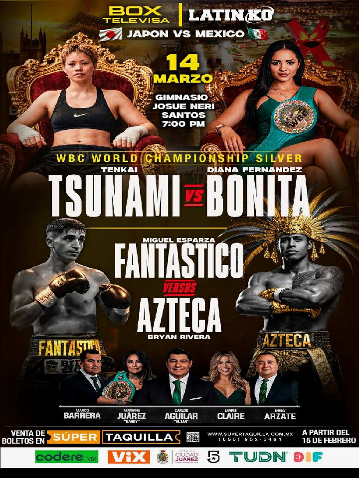 WBC�V���o�[���q�t���C���^�C�g���}�b�`